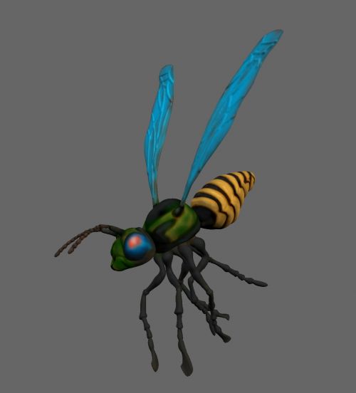 Wasp