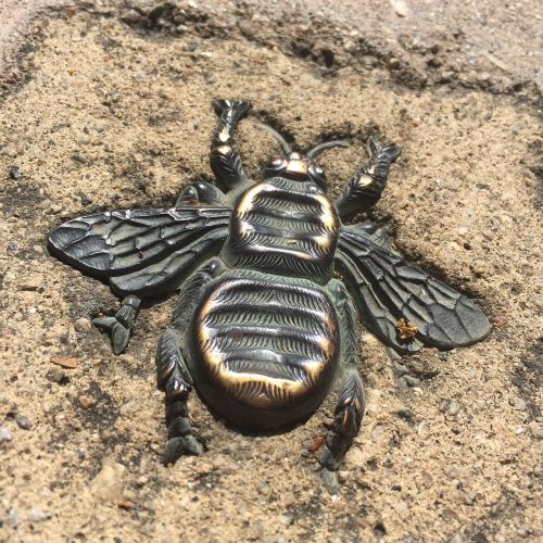 wasp bronze pavement