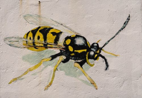wasp wall graffiti