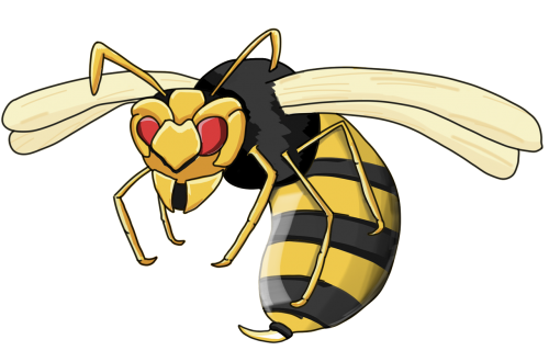 wasp hornet insect