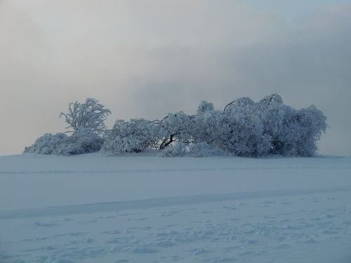 wasserkuppe wintry winter