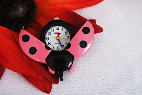 watch ladybug pink