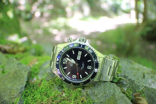 watch  nature  blue