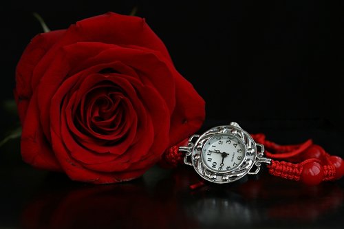 watch  rose  bracelet
