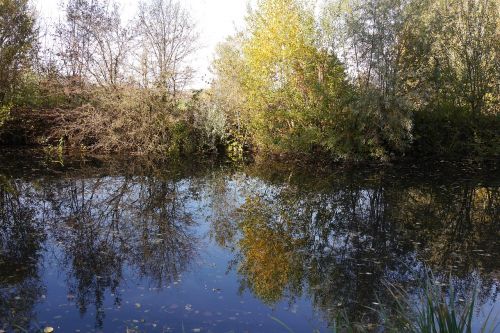 water pond autumn