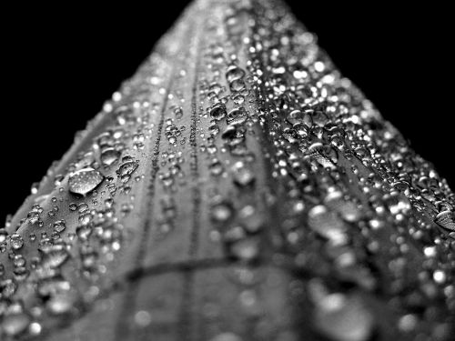 water drops droplets
