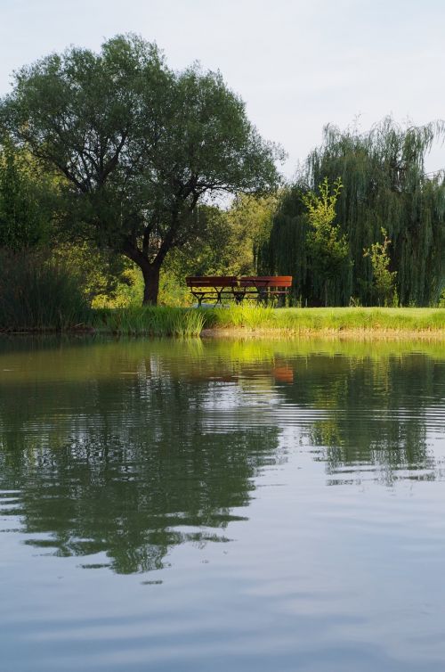 water bench reflection