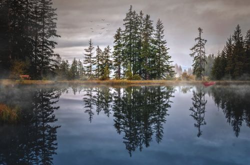 water lake nature