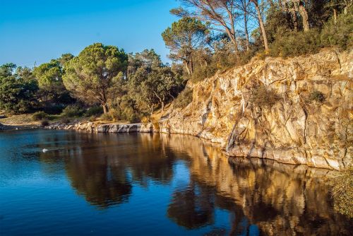 highlights natural landscape trees