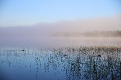 water sea fog mood