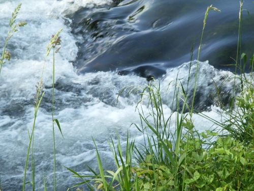 water grass river landscape