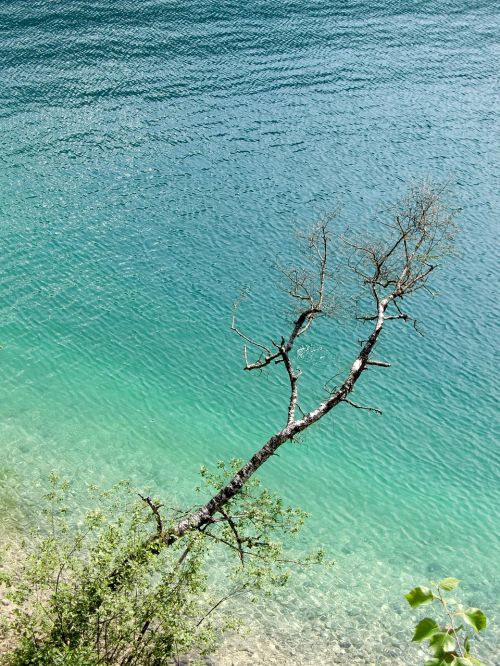 water nature branch