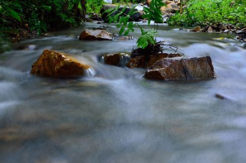 water brook flow