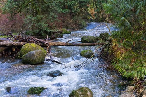 water creek nature