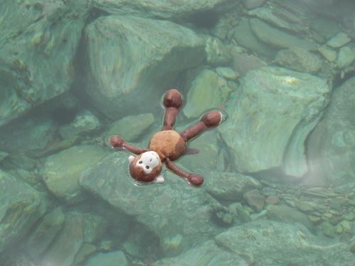 water stuffed animal monkey