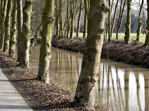 water canal trees