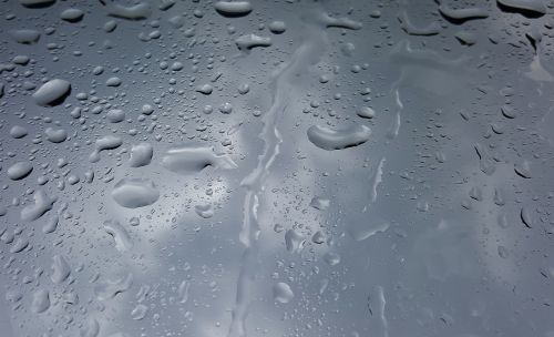 water wet droplets