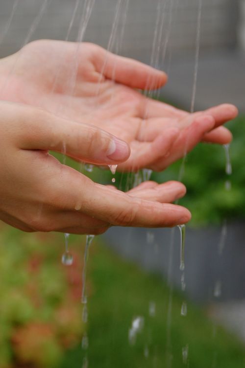 water drops of water freshness