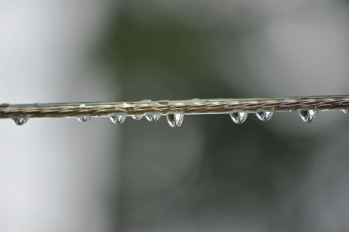 water drops clothes line