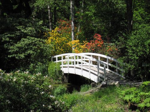 water bridge pond