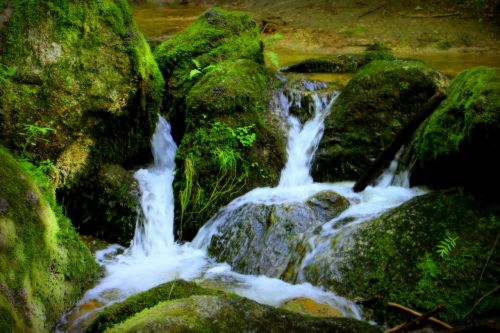 water stones moss