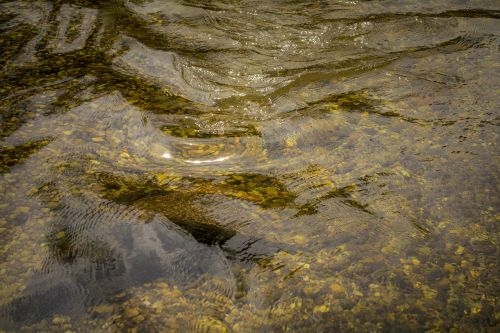 water clean nature