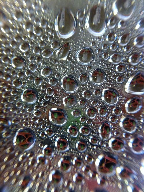 water droplets macro
