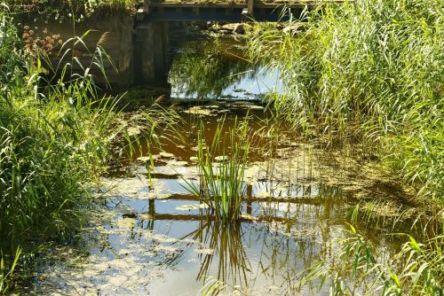 water stream rushes