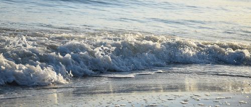 water sea beach