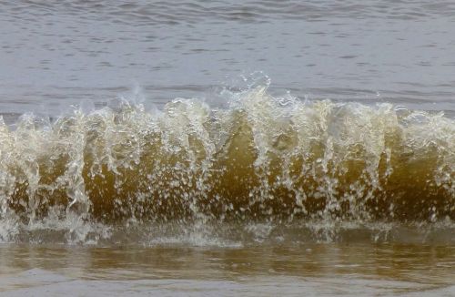 water elbe wave