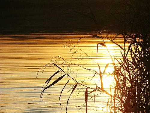 water lens flare sun