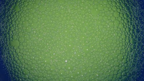 water bubbles green
