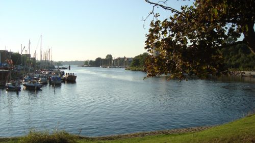 water river leaves