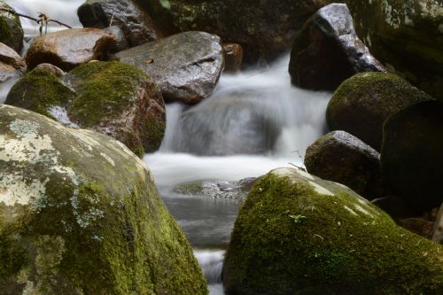 water waterfall forest