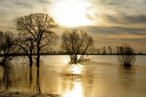 water high water flood