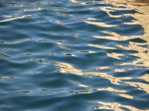 water reflections landscape