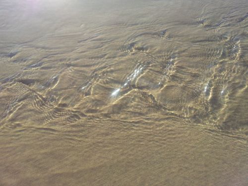 water sand beach beach