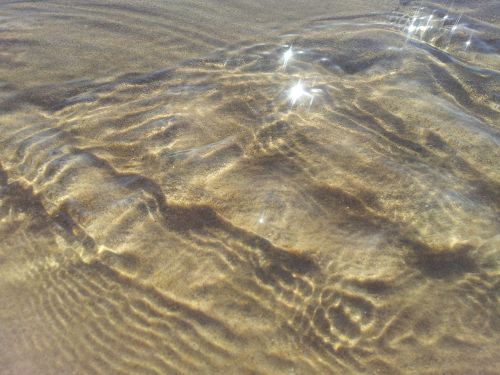 water sand beach beach