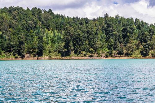 water forest blue sky