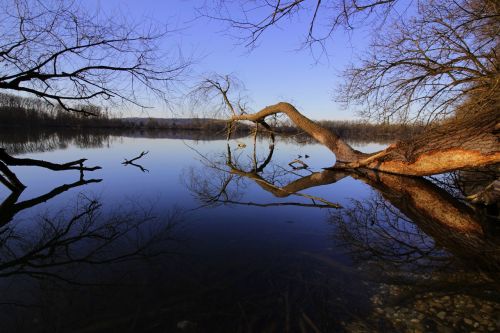 water lake forest