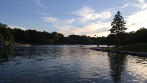 water park landscape