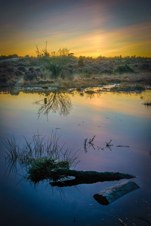 water sunset nature