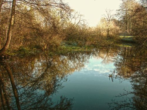 water river lake