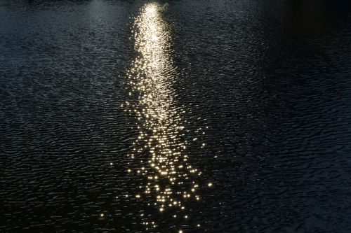 water reflection lake