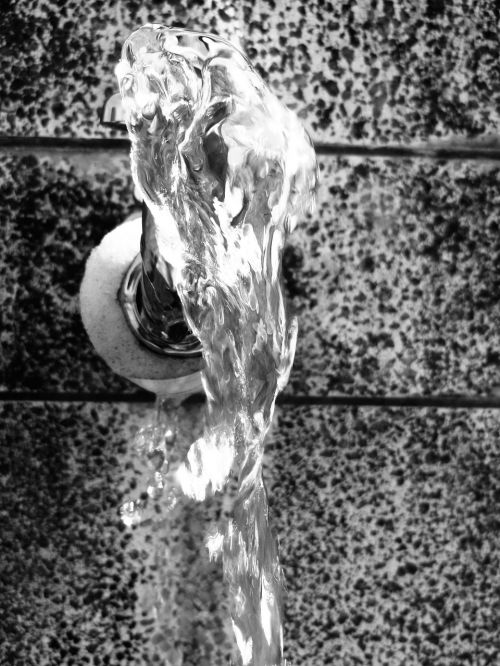 water black-and-white artifact