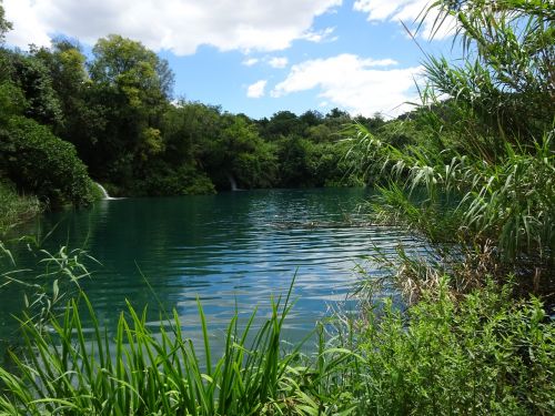 water nature idyll