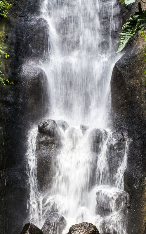 water waterfall jungle