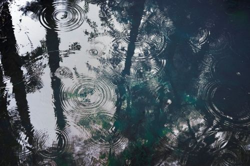 water rain drops