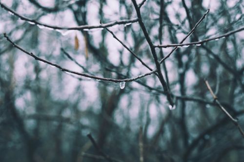 water drops rain