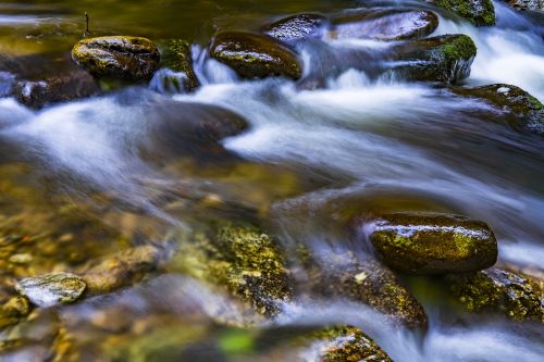 water river nature